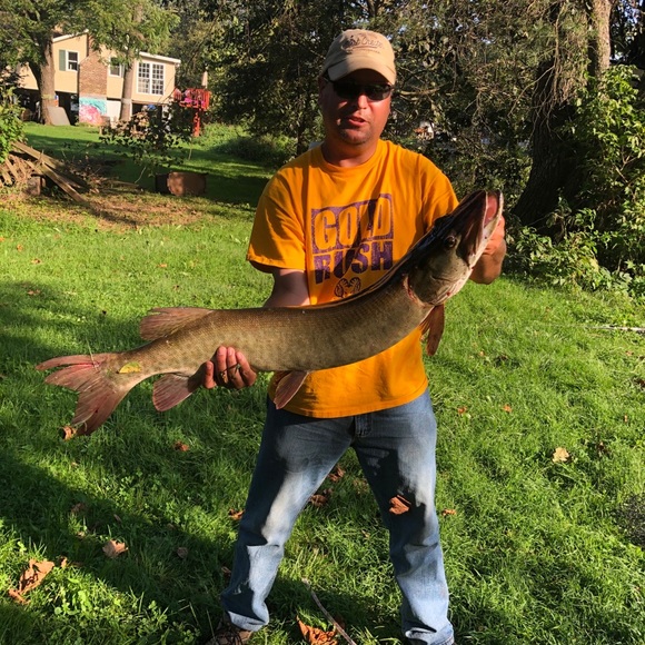 Meet your Posher, Joseph - Picture 1 of 1